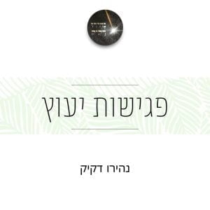 פגישות יעוץ