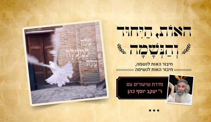 7900496A-5E21-411A-A138-31B68409B583 7900496A-5E21-411A-A138-31B68409B583